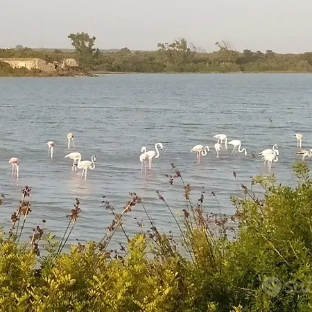 A Due Passi Con Terrazzo